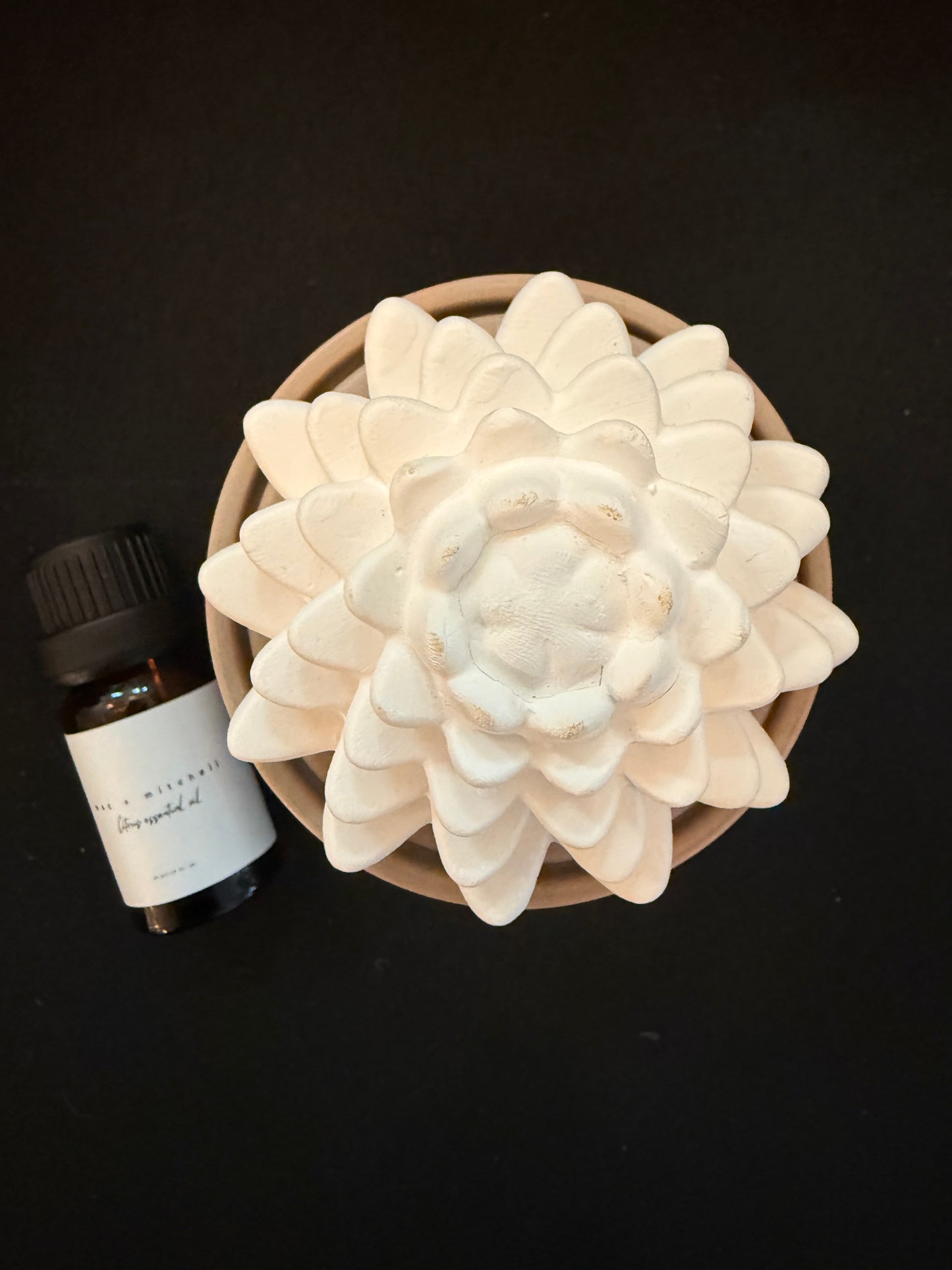 Porcelain Diffuser