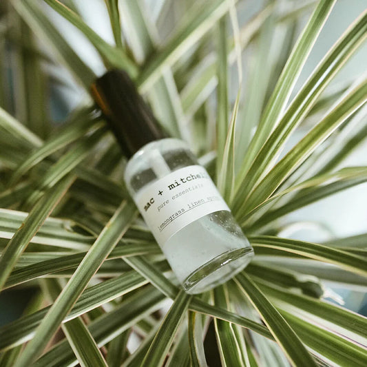 the power of plants: why every mac + mitchell product starts with what the earth already provides