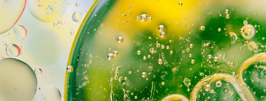 Oil Cleansing: What's the Hype?