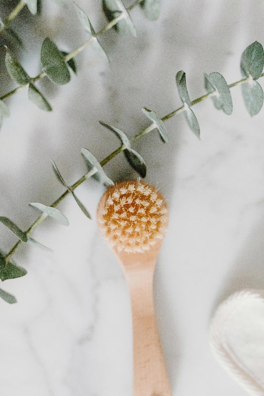 mac + mitchell eucalyptus spa brush with fresh eucalyptus branches